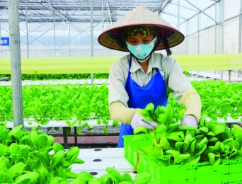 Định hình mô hình kinh tế mới hậu COVID-19